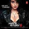 Hate Story 2 2014