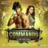 Commando - A One Man Army 2013
