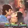 Hai Meri Jaan 1991